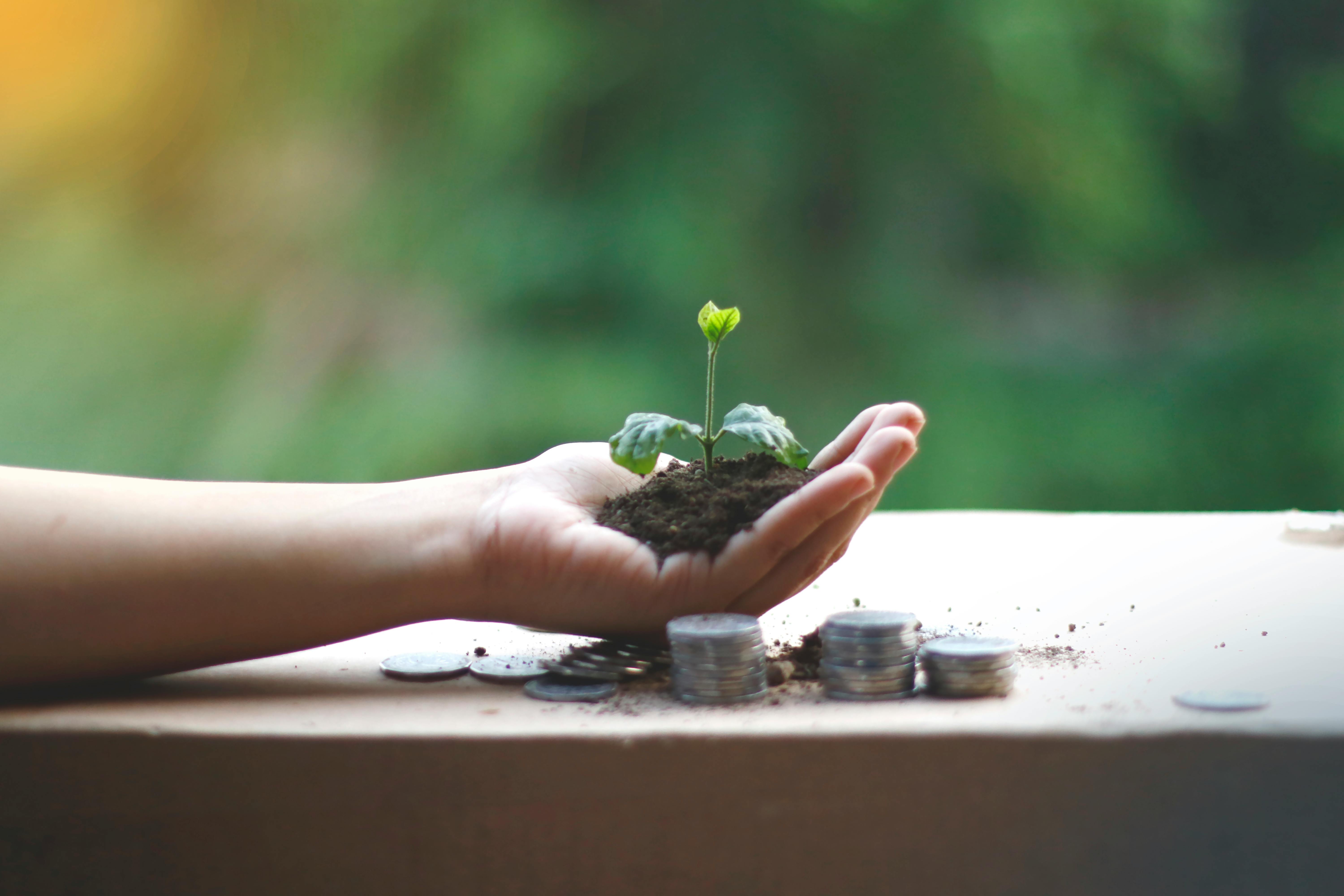 Get a Trade Credit Finance Solution Backed by Over Two Decades of Experience